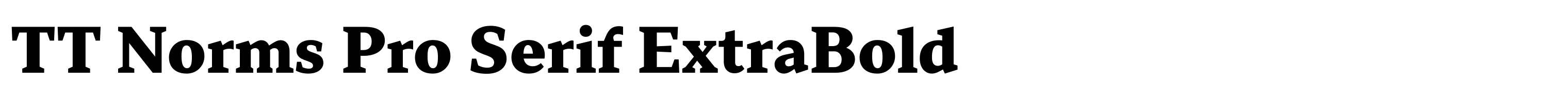 TT Norms Pro Serif ExtraBold